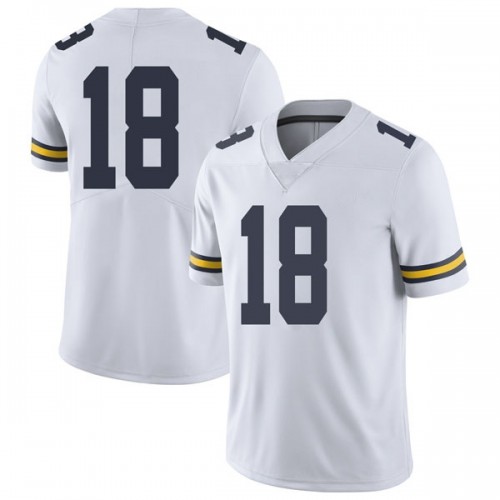 Luiji Vilain Michigan Wolverines Youth NCAA #18 White Limited Brand Jordan College Stitched Football Jersey GGM3254LV
